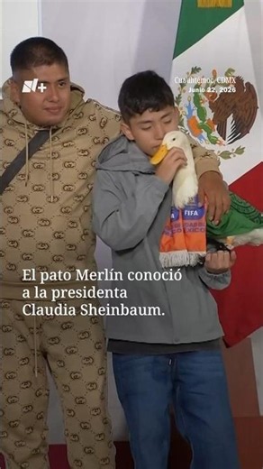 Merlin the Duck was President Sheinbaum's Guest at the Morning Press Conference