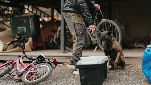 Elza's Systematic Object Search: Dog Training in Action