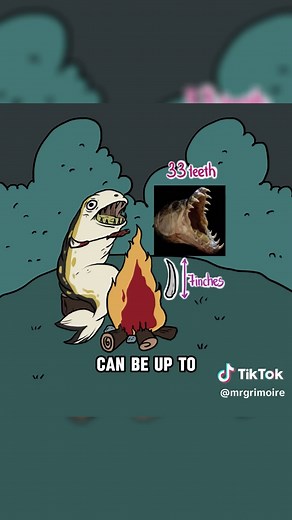 Understanding Tigerfish: The Freshwater Predator