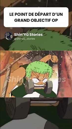 Zoro: The Promise That Changed Everything (One Piece)