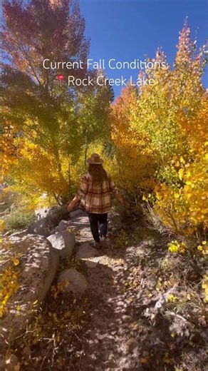 California fall colors #fallcolors #hiking #travel #visitcalifornia