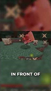 Minecraft Updates & Why Spruce Wood is KING! 🌳