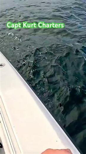 Catch More Red Snapper: Tips for Charter Fishing