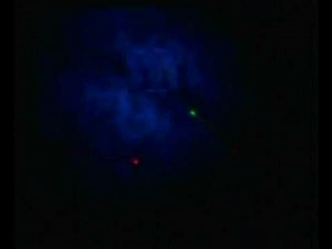 Playstation 2 Start-up (Long)