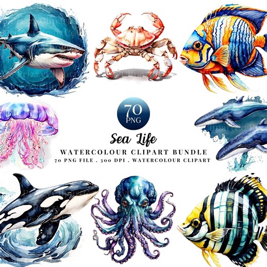 Sea Life Watercolour Clipart Bundle PNG, Ocean Animals Shark Whale Fish, Marine Digital Download - Etsy