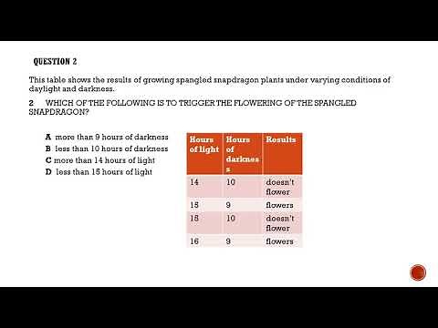 ISAT Practise Questions (International Student Admission Test)(Part 1)