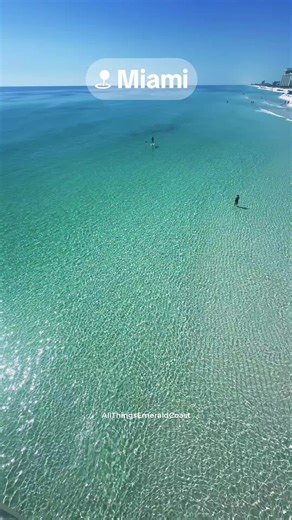 Miami FL 🦩🌴 #france #tourisme #miami #travel