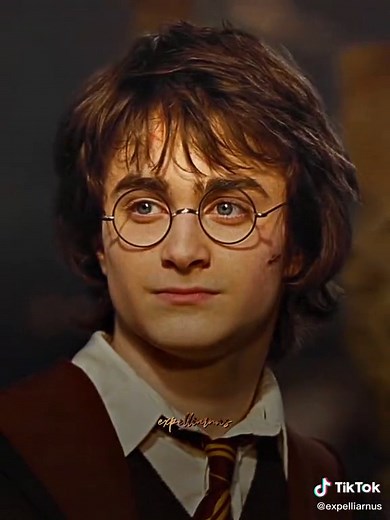 Harry Potter 4th Year Highlights