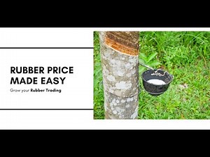 How to check Rubber price daily (Today’s rubber price) | RubberLive