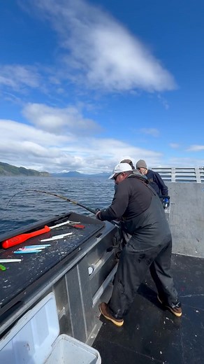 FREE WILLY!!! YEAH BABY!!! This is what we live for!!! #halibut #salteryadventures #oceancharter #oceanfishing #kodiak #Alaska | Saltery Adventures