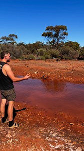 Swimming in the outback | Tyler Mahoney