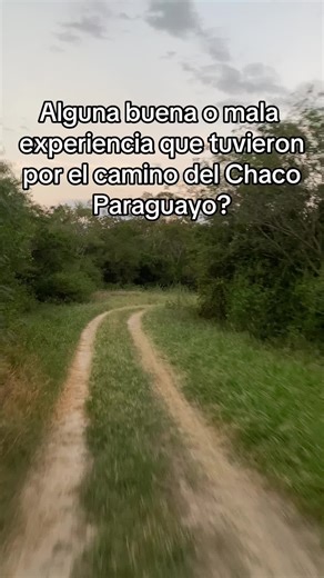Experiences in Chaco Paraguayo: Animals, Nature, and Viral Stories