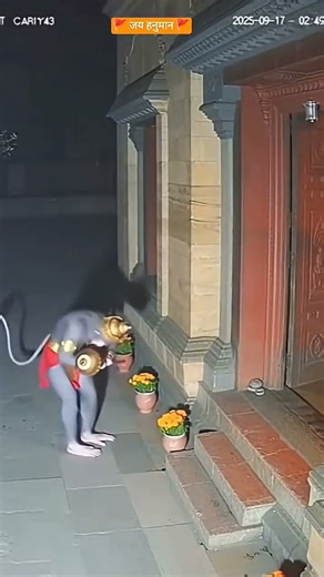 ॐ दक्षिणमुखाय पंचमुख हनुमते कराल वदनाय नरसिम्हा ॐ ह्रां ह्रीं ह्रूं ह्रैं ह्रौं ह्रः |#जयश्रीराम 🚩