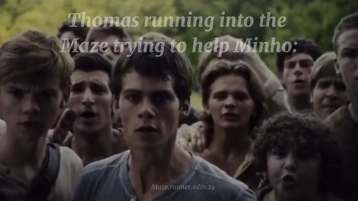 #mazerunner #mazerunnerstories #newtmazerunner #gallymazerunner #minhomazerunner #dylanobrien #thomasbrodiesangster #fyp