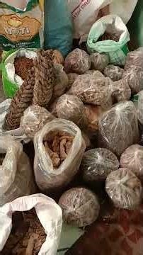 ಅಷ್ಟದಿಗ್ಬಂಧನೆಗೆ ಮತ್ತು ದೇವತಾಪ್ರ ತಿಷಟಪನೆಗೆ ಅತೀಅವಶ್ಯಕತೆಯಾಗಿಉಪಯೋಗಿಸುವ ಮೂಲಿಕೆಗಲು 7760526601