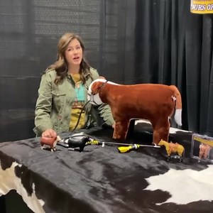 4.3K views · 58 reactions | Watch this quick video of Lisa introducing our new Spring toys! www.littlebustertoys.com | Little Buster Toys | Facebook