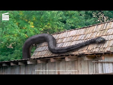 Anaconda 3: Offspring - Giant anaconda ambush