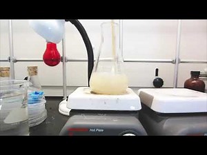 Virtual Lab: Yeast Cellular Respiration (Fermentation)