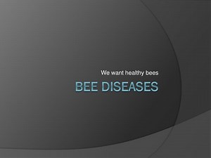 Bee Diseases - SlideServe