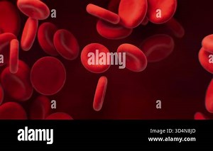 Red blood cells with biological and medical concept, 3d rendering.
