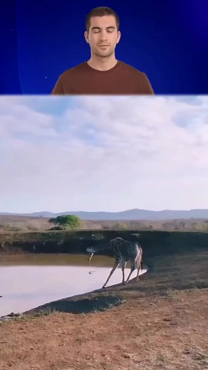 171 reactions | Giraffe Escapes Lion #explore #AI #giraffe #lion | Jester King | Facebook