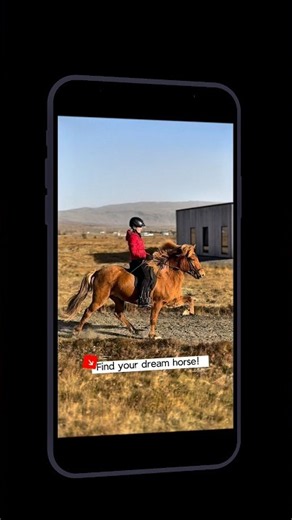 UNDRA - the biggest international platform for Icelandic horses 🐴