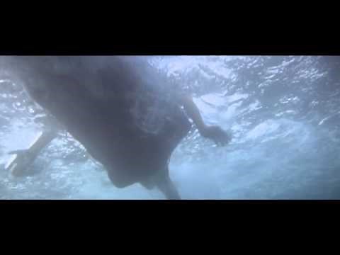 Jaws: Alex Kitner Attack
