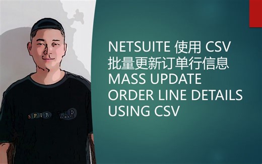 NETSUITE 使用 CSV 批量更新订单行信息 MASS UPDATE ORDER LINE DETAILS USING CSV