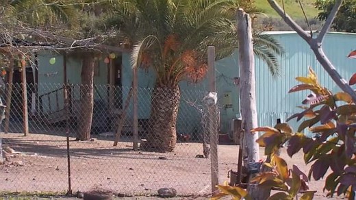 Gunfight with home invaders ends in death