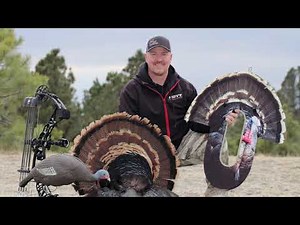 Self-Filmed, Run-and-Gun Archery Turkey Hunt - No Ground Blind!