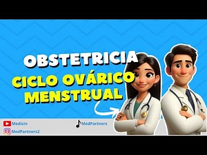 Ciclo ovárico y menstrual: fases, hormonas clave