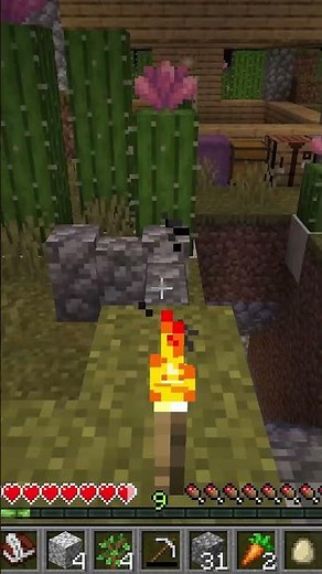 What IS That Flying Thing in Minecraft?!