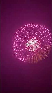 10 inch shell ( 250mm shell ) Special Purple peony with colorful pistil . Firework , camera 1