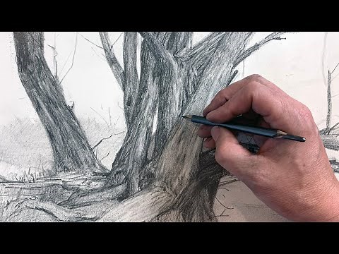 A Real Tree-t | Drawing a Tree