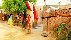 5.9K views · 61 reactions | Village Life | North-Indian Cooking | Facebook