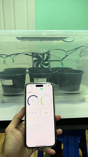 Smart Farm Project Using IoT Technology