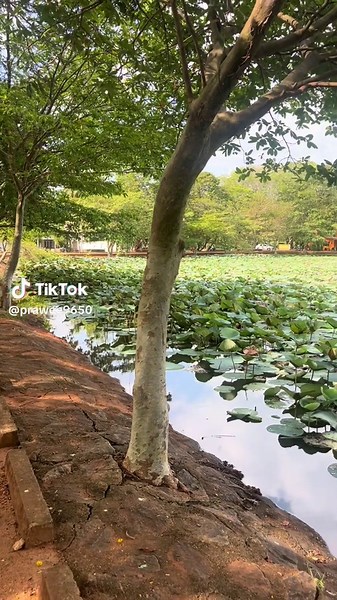 Exploring Kurunegala: A Travel Guide