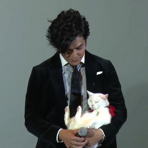 Modern Samurai Cat: Nekosamurai Adventure