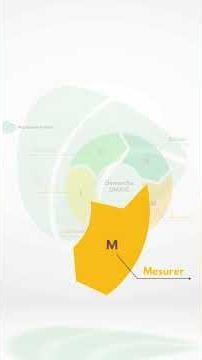 Six Sigma : comment l'appliquer ?