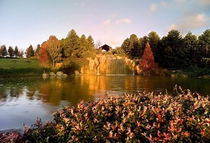 5.6K views · 215 reactions | Today we are throwing it back to the beginning... The creation of the beautiful Sunken Garden Waterfall. | Hunter Valley Gardens | Facebook