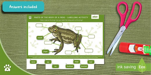 Parts of the Body of a Frog - Labelling Activity