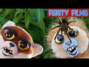 Nature Meets Naughty! Feisty Pets Outrageous Outdoor Adventures