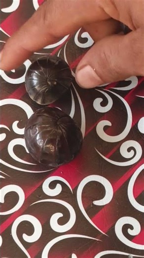 This Millipede Just Made Everyone Smile 😊🐛 #millipedeworld #pillmillipede #shorts