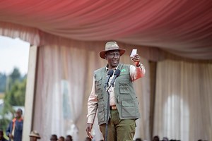 Ruto lifts logging ban, says only mature trees to be harvested for local use