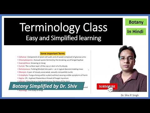 Botanical Terminology