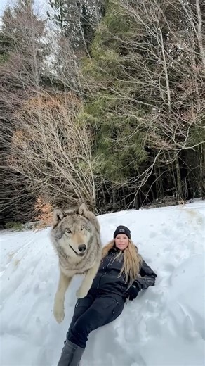 JUMPED BY A WOLF!!!