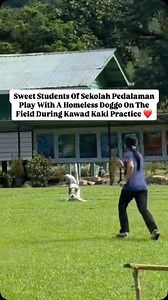 11K reactions · 285 comments | You can see just how lovingly these students treat this homeless doggo by the way he plays so joyfully around them.  Big W for the students and the school! ❤️ Video via: _orkedofficiall/Tiktok . . . #myforeverdoggo #dogsofmalaysia #rescuedogsofinstagram #adoptdontshop #bekindtoanimals #loveallbeings | My Forever Doggo | Facebook