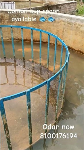 comon cup spoon available #bihar#chhattisgarh #chapra #odisha #gonda #samastipur