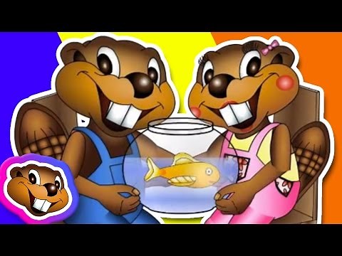 Do You Have...? Positive (Clip) - ESL Teachers Resource