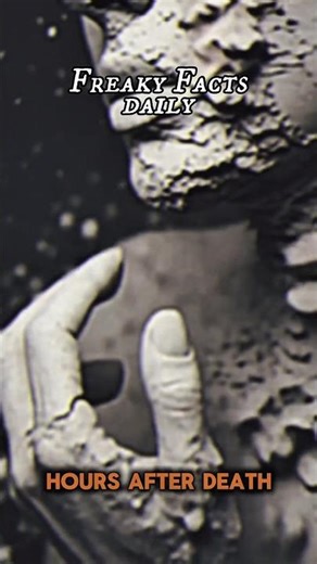 6 Short Creepy Stories That Will Keep You Up at Night #facts #mystery #historyfacts